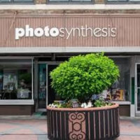PhotoSynthesis